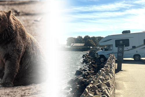 fat bear and rv crash